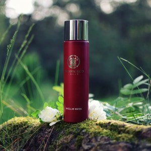 MICELLAR WATER Shiawasedo (SUMMUS - new brand name)